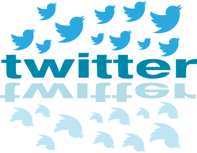 Schritt für Schritt auf Twitter ausspionieren
